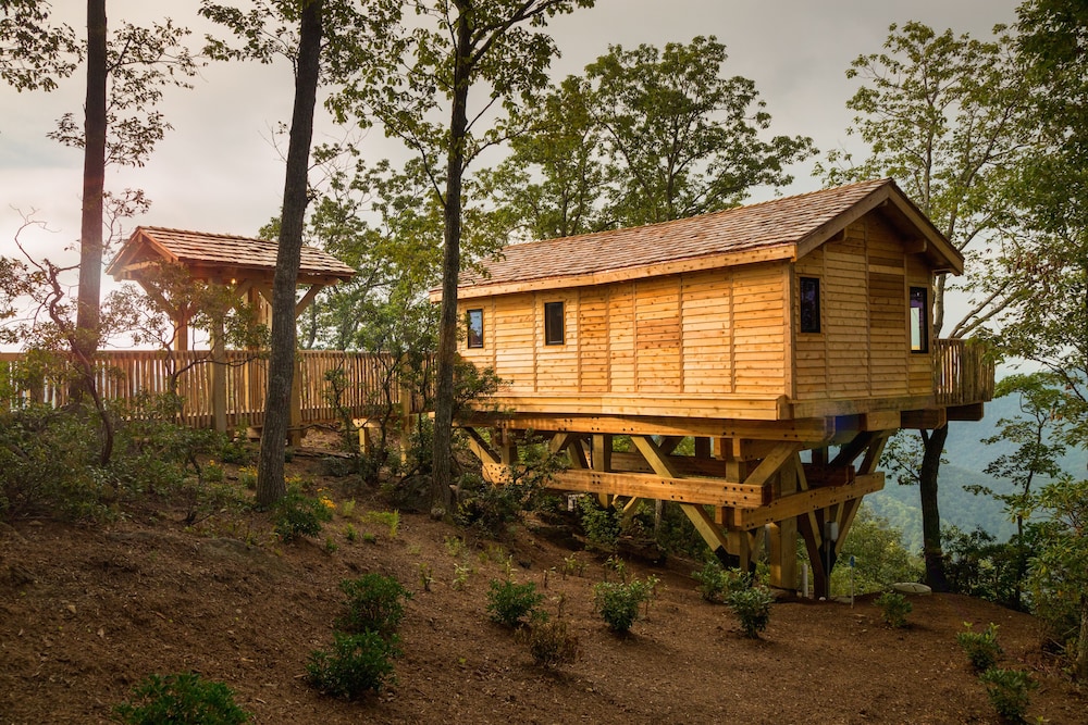 Primland 3/50