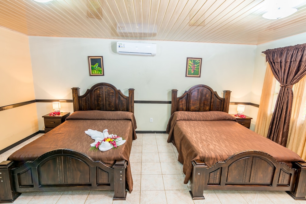 Ara Ambigua Lodge 26/50