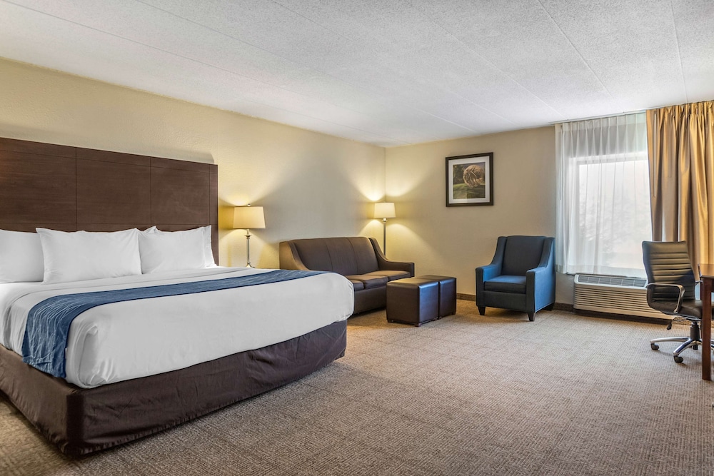 SUITE, KING BED