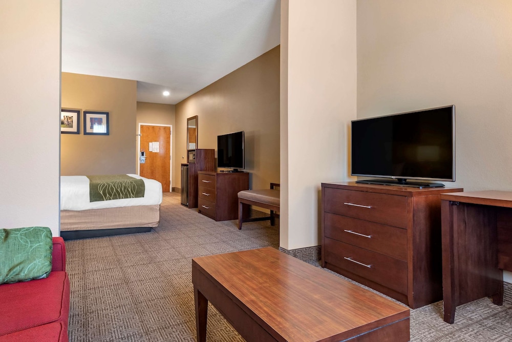 Comfort Inn Amite City 45/68