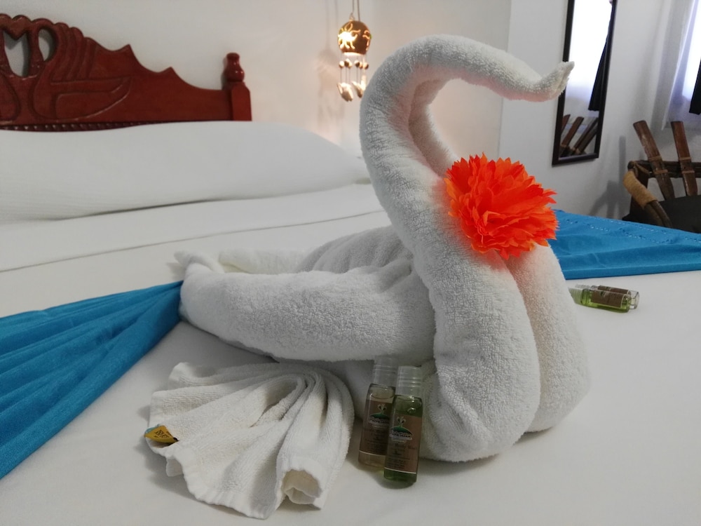Pacha Tulum Boutique Hotel 32/84