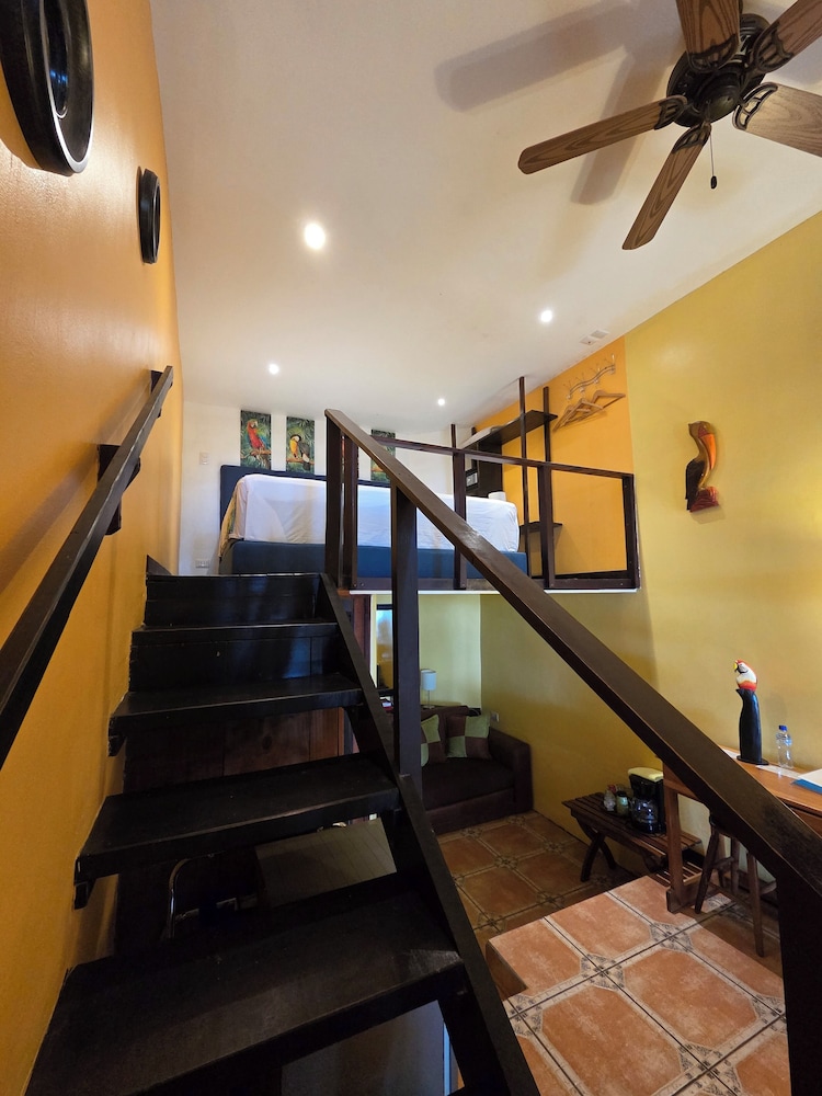 Hotel La Palapa 43/76