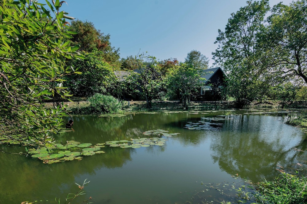 Green Forest Villa 61/71