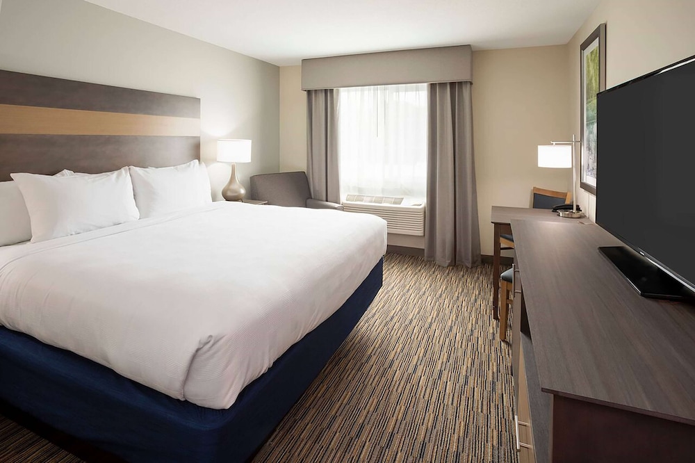Room, King Bed