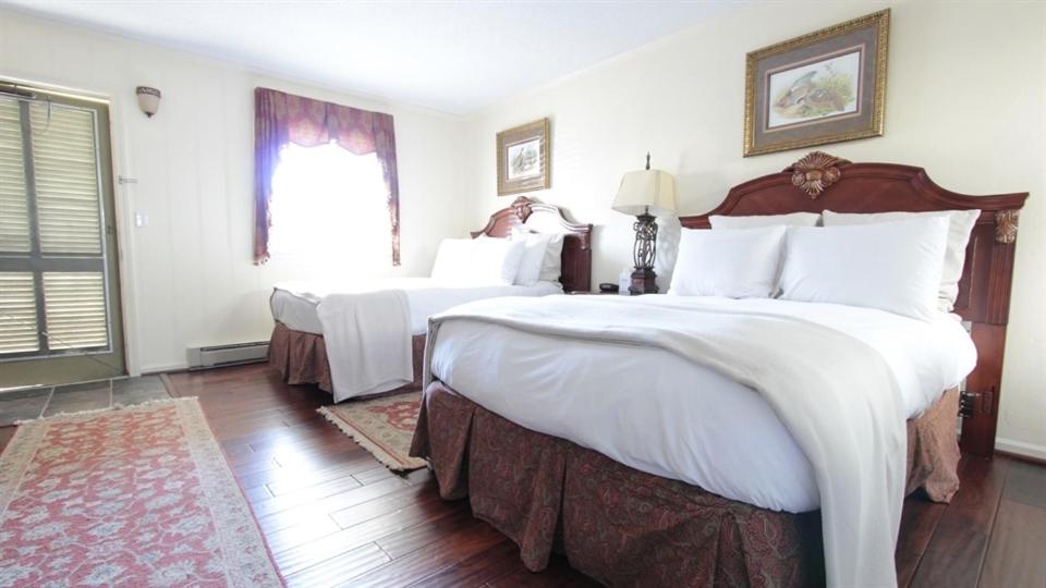 Standard, 2 Queen Beds