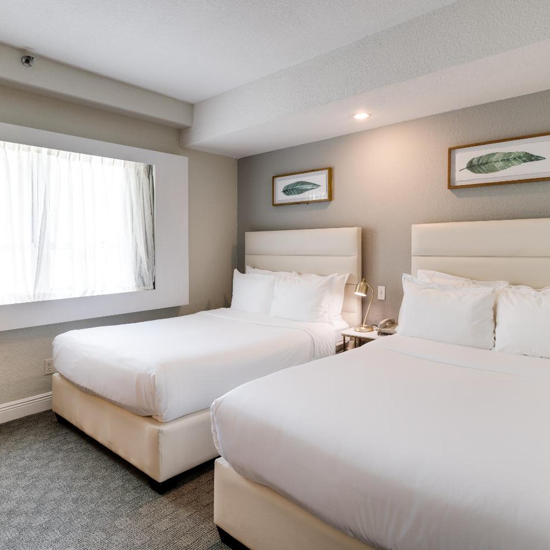 Studio, 2 Double Beds