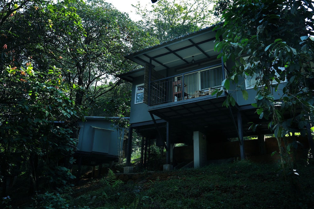 Wayanad Wild - Cgh Earth in VYTHIRI