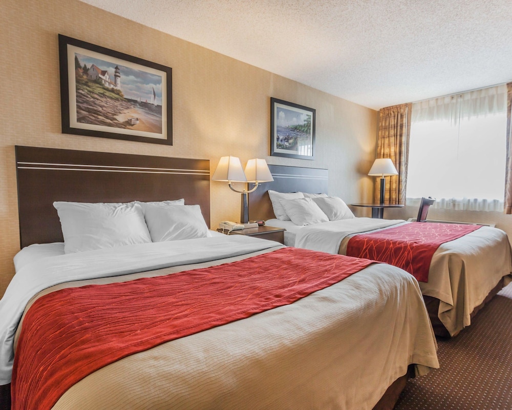 Room, 2 Queen Beds