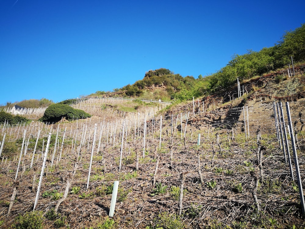 Moselromantik Hotel Thul 44/50