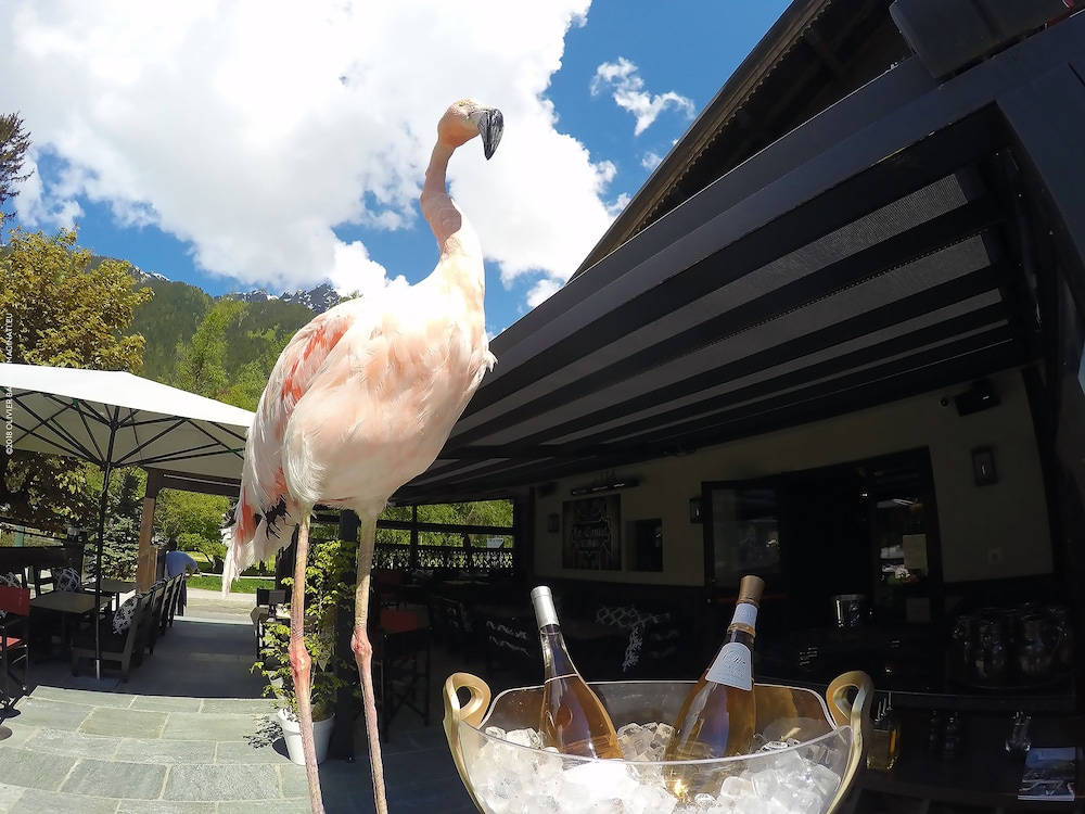 Chalet Hotel Le Castel 67/74