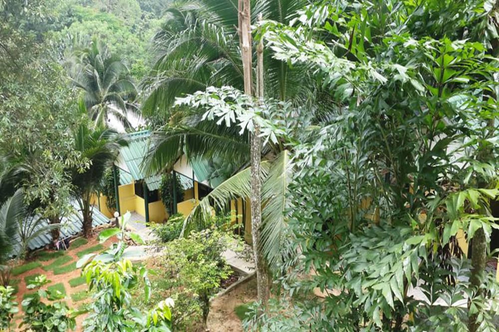 Island Lodge 61/64