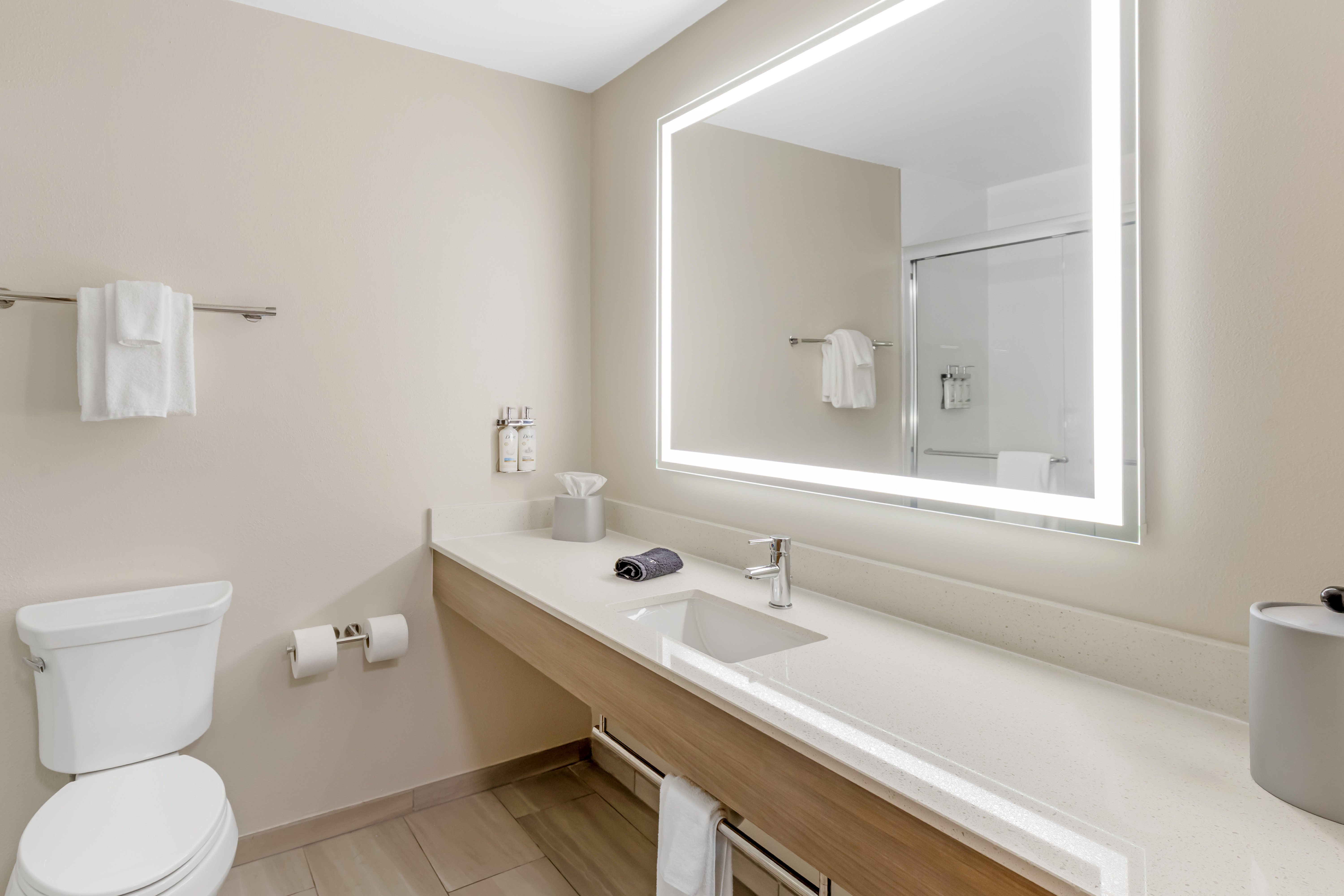 Holiday Inn Express Hotel Suites Douglas 72/75