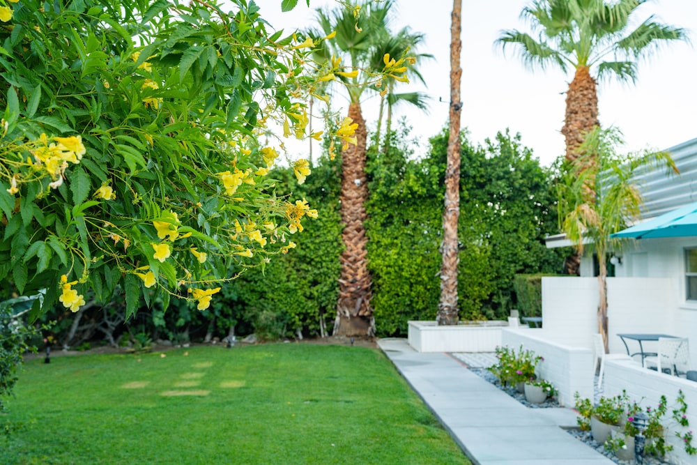 BelleVue Oasis-Palm Springs - Adults Only 52/62
