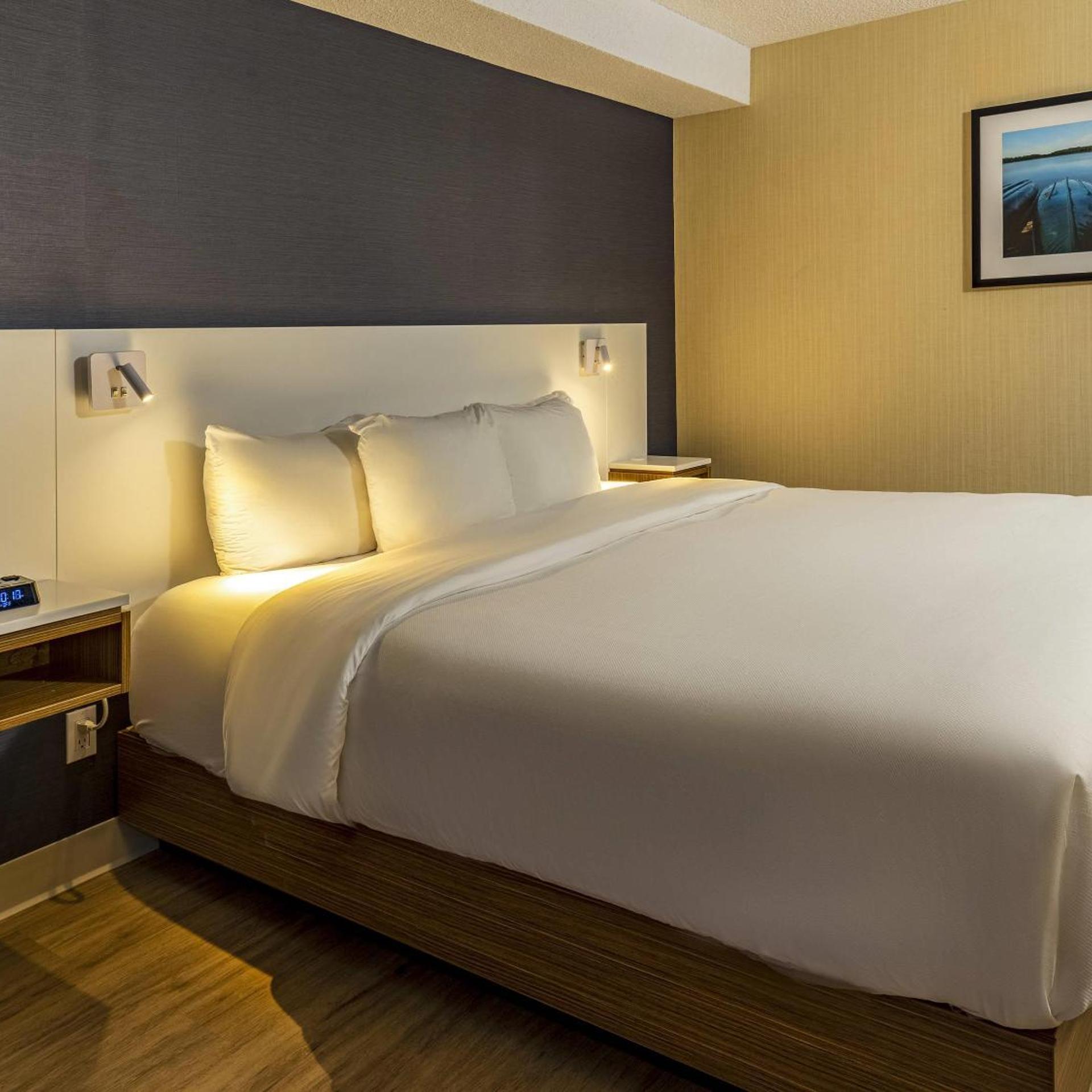 Room, King Bed, Sofa, Ground Floor