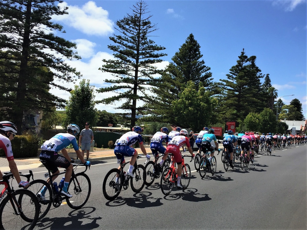 McLaren Vale Studio Apartments 36/50