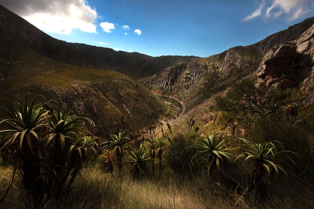 Barrydale Karoo 29/50