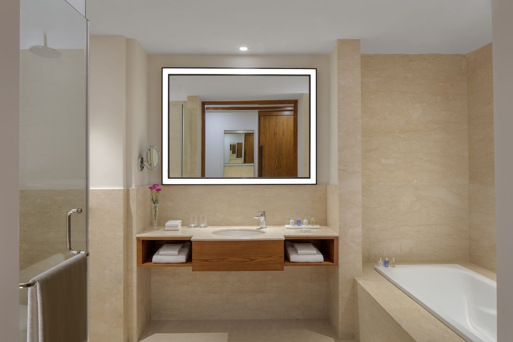Radisson Blu Plaza Hotel Mysore 25/72