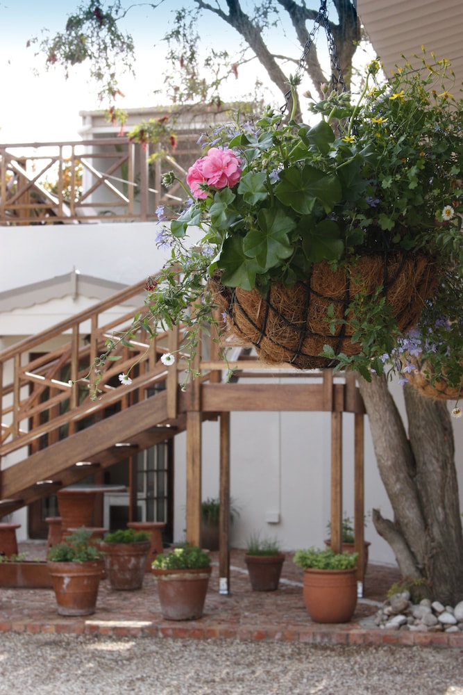 The Potting Shed Guest House 1/50