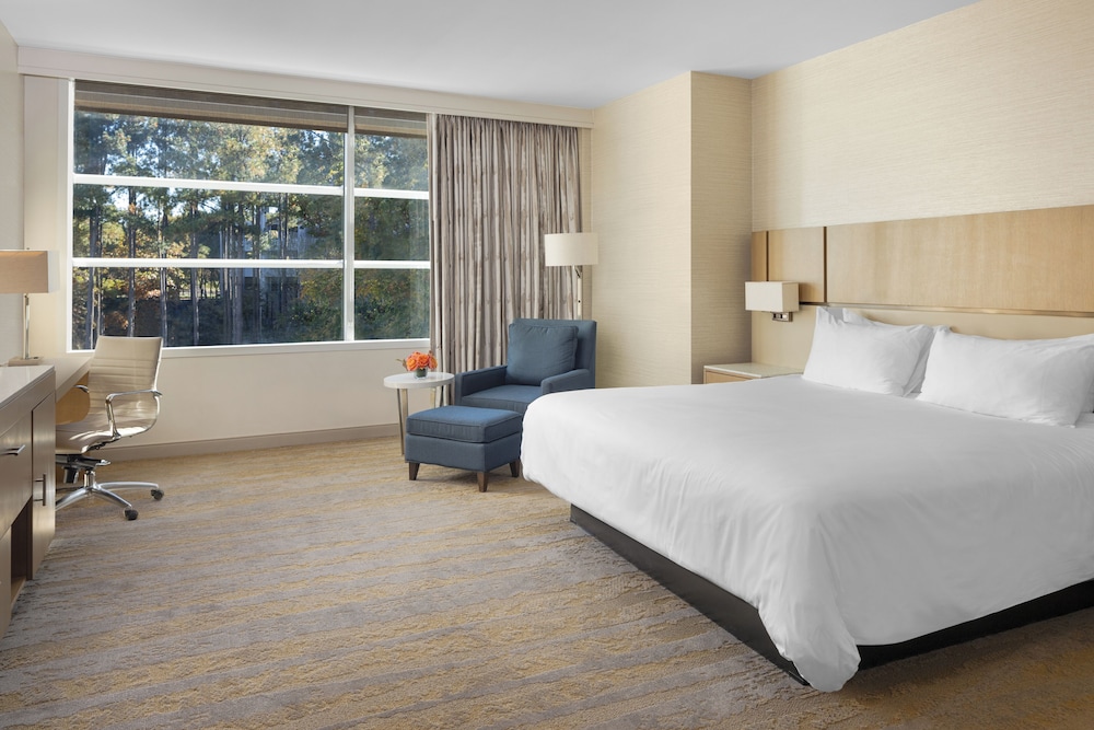 ROOM, KING BED, ACCESSIBLE