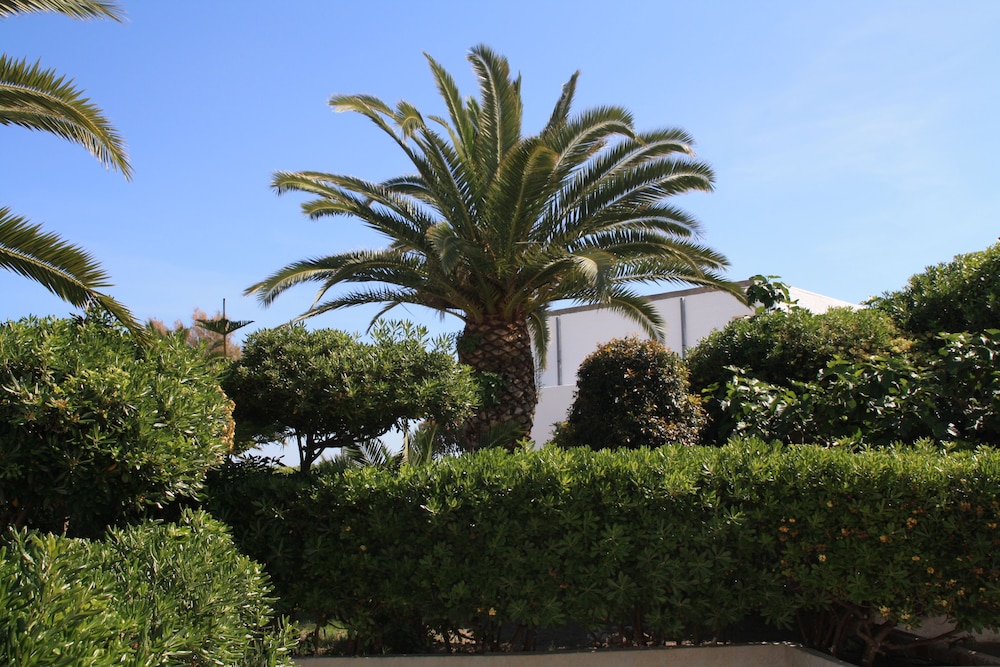 Hotel Villaggio Club ALTALIA 22/32