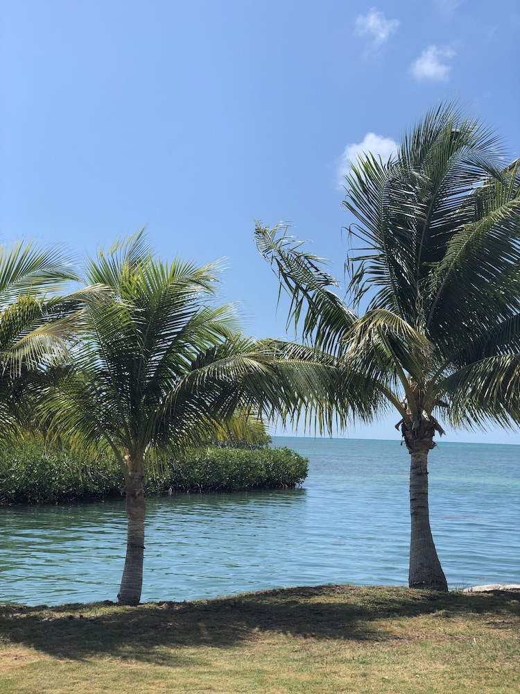 Shaka Caye 29/50