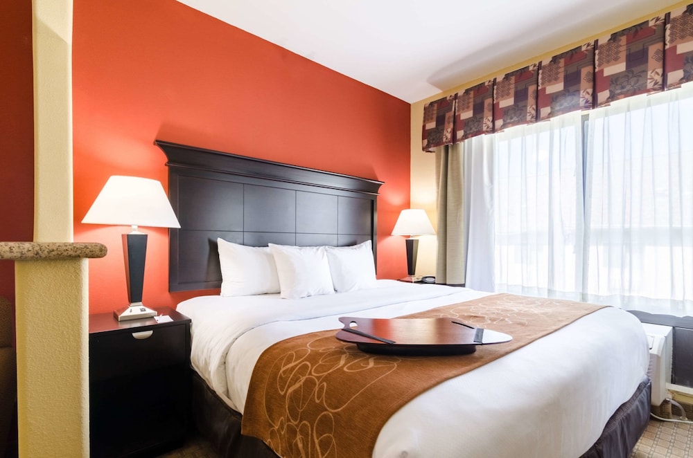 Comfort Suites Salina 21/44