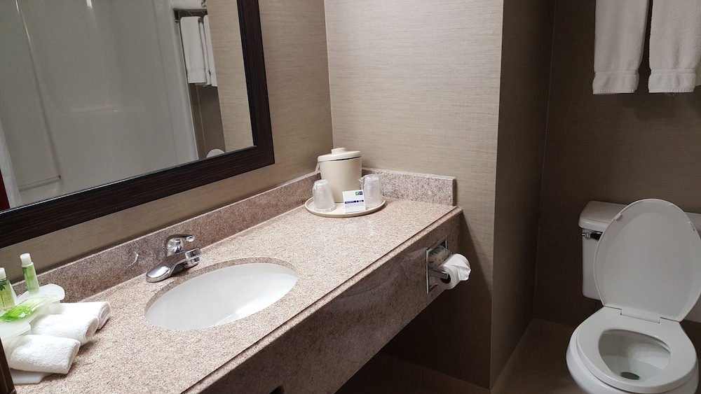 Holiday Inn Express Hotel And Suites Waterford 15/47