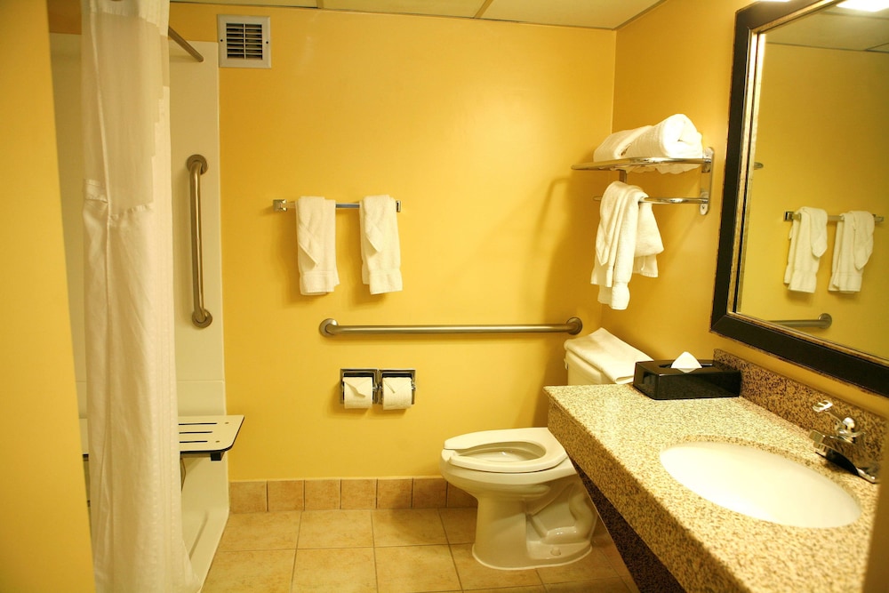 Best Western Plus Goldsboro 12/32