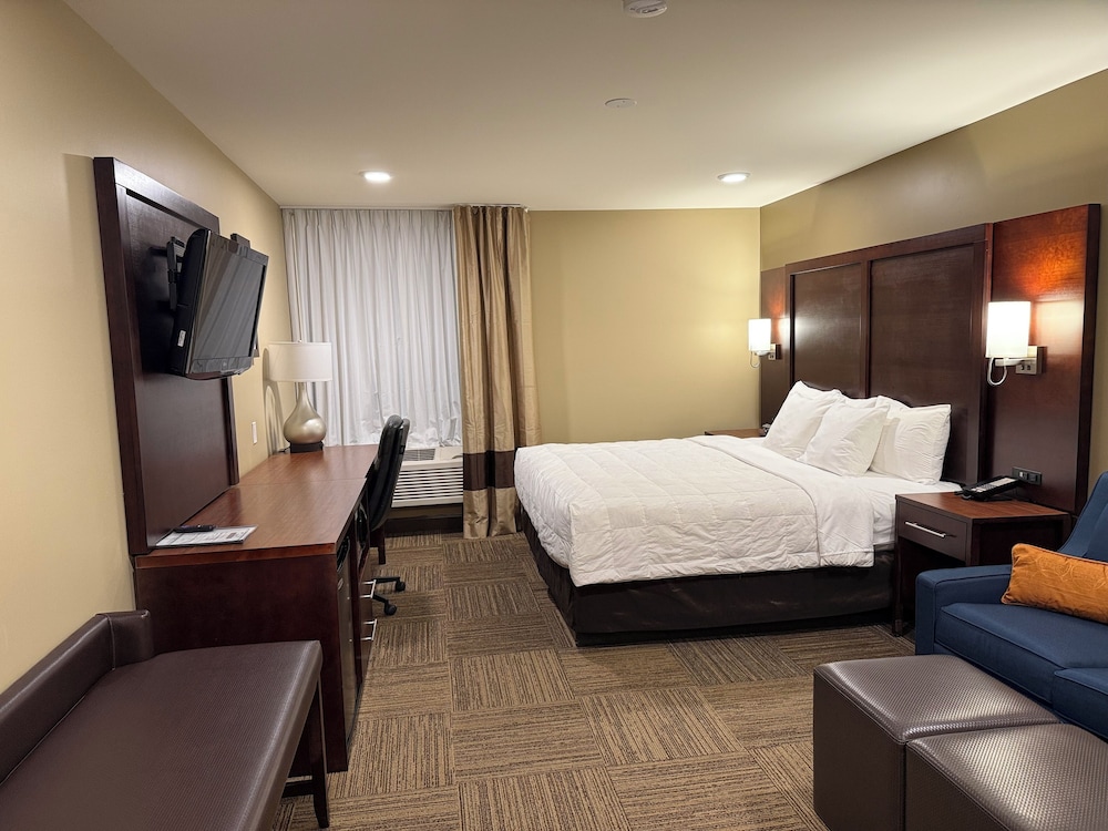 Business, Studio, Suite, King Bed, Sofa, Xl