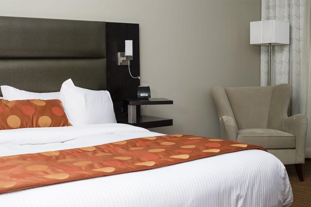 Hotel Levesque 13/50