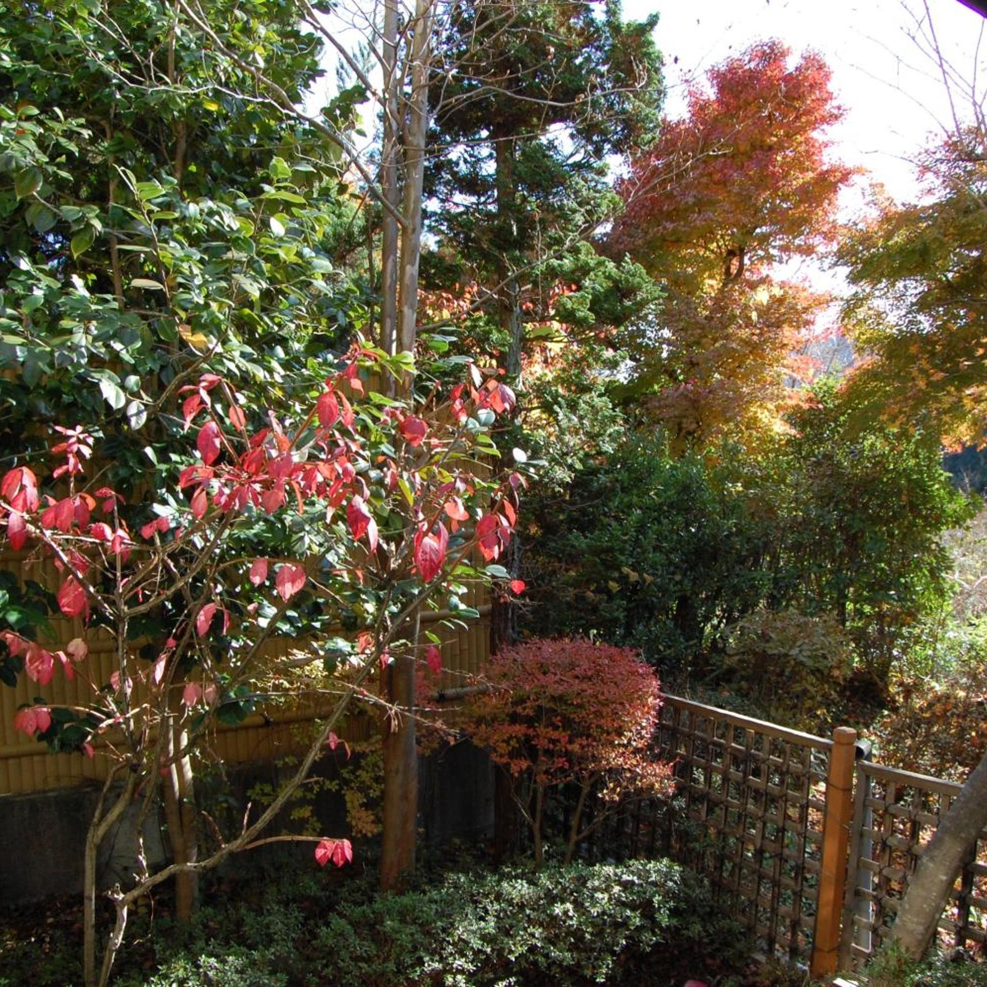 Miyataya Ryokan 46/50