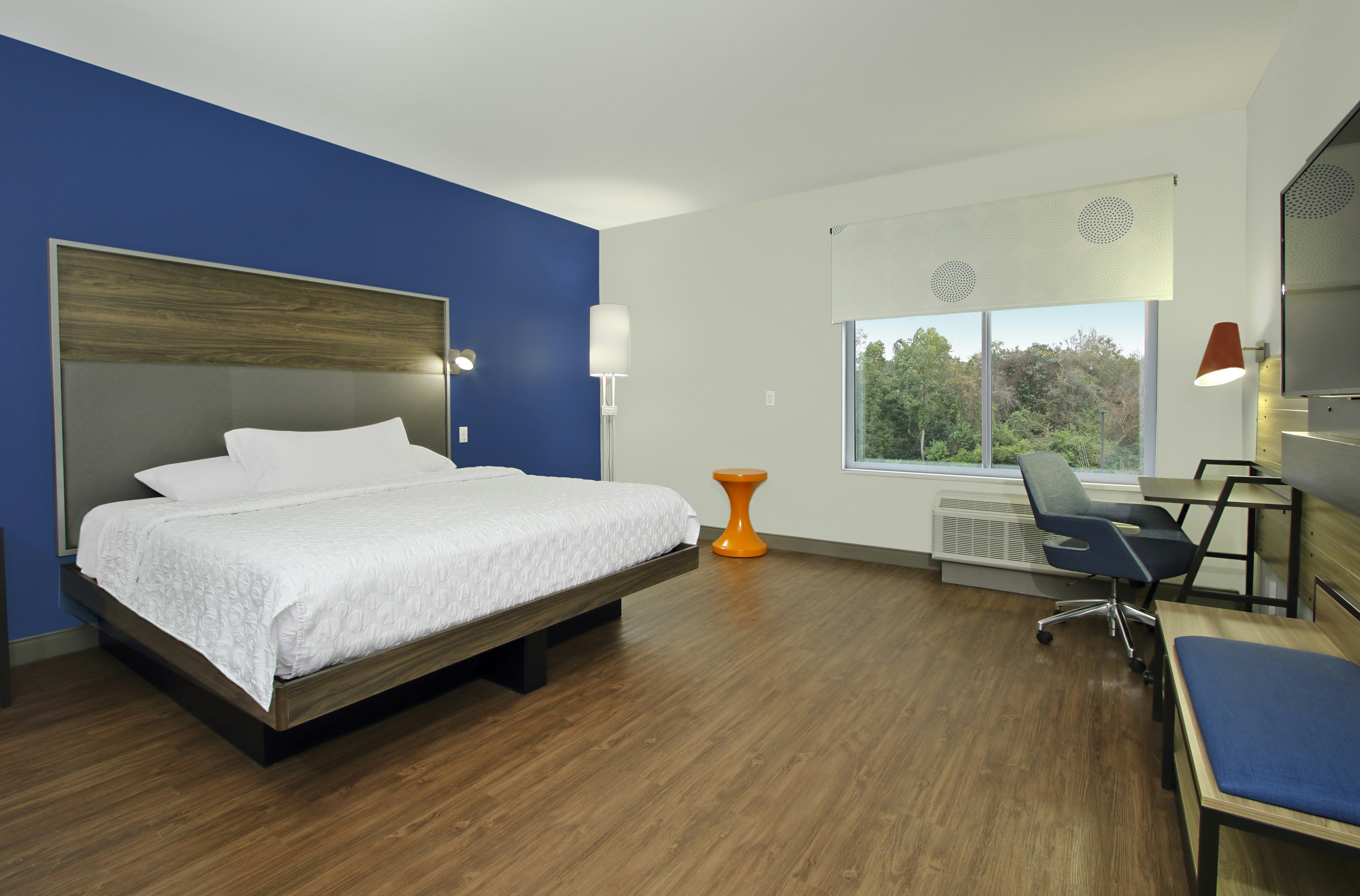 ROOM, KING BED, ACCESSIBLE