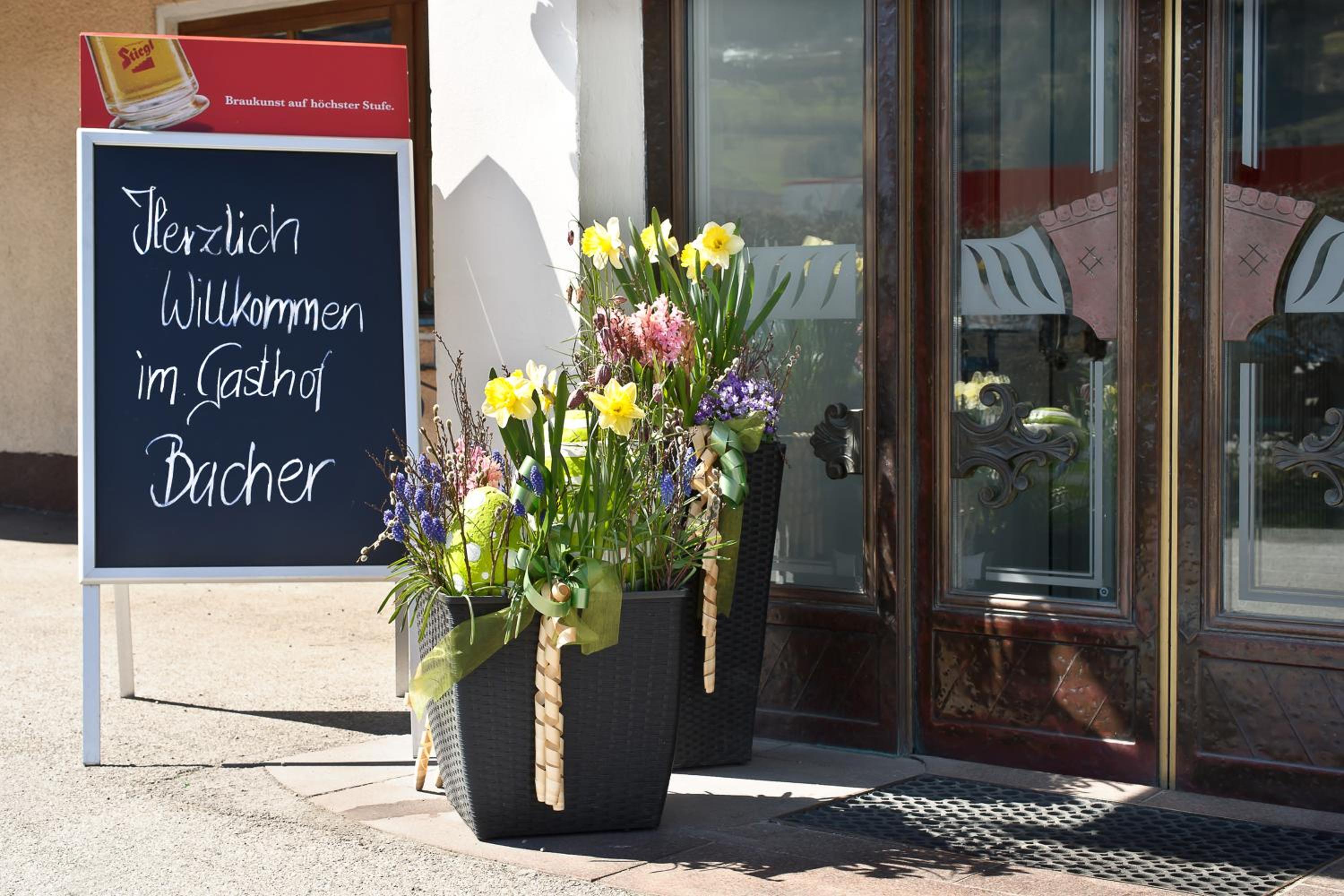 Gasthof Bacher 8/38