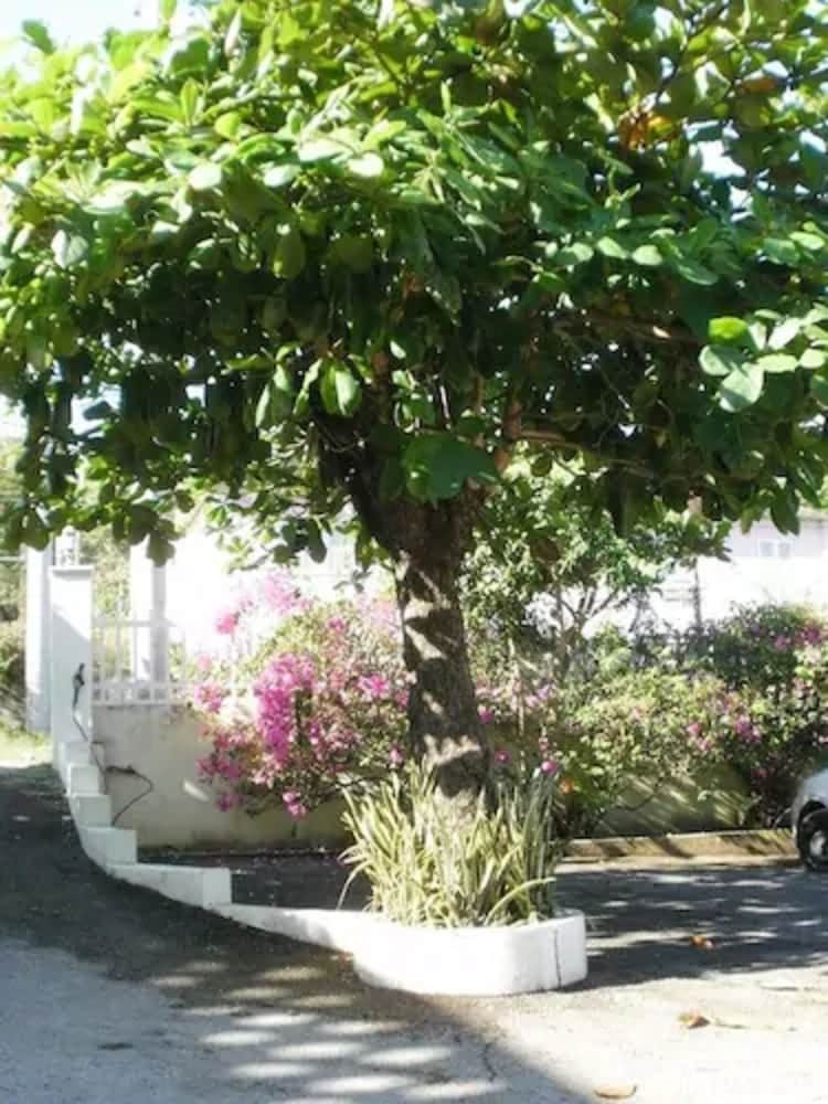 Pineapple Court Hotel 30/36