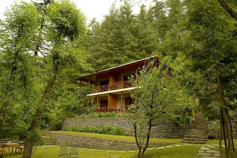Tall Trees Resort 43/50
