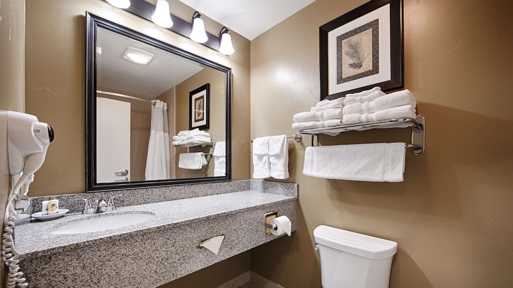 Best Western Plus Layton Park Hotel 14/33