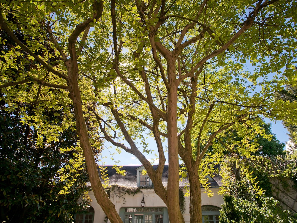 La Maison Jules 45/50