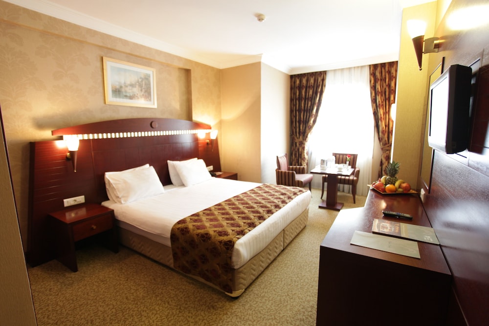 Istanbul Golden Park Hotel 26/58
