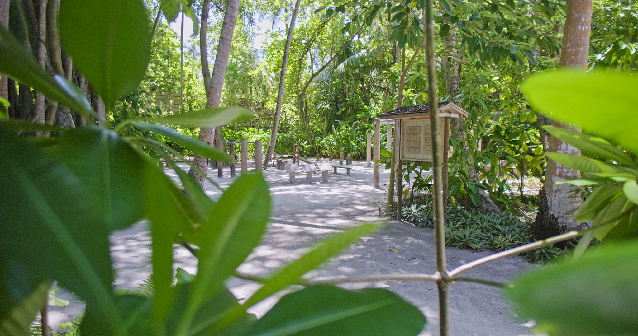 Amilla Maldives Resort and Residences 40/47