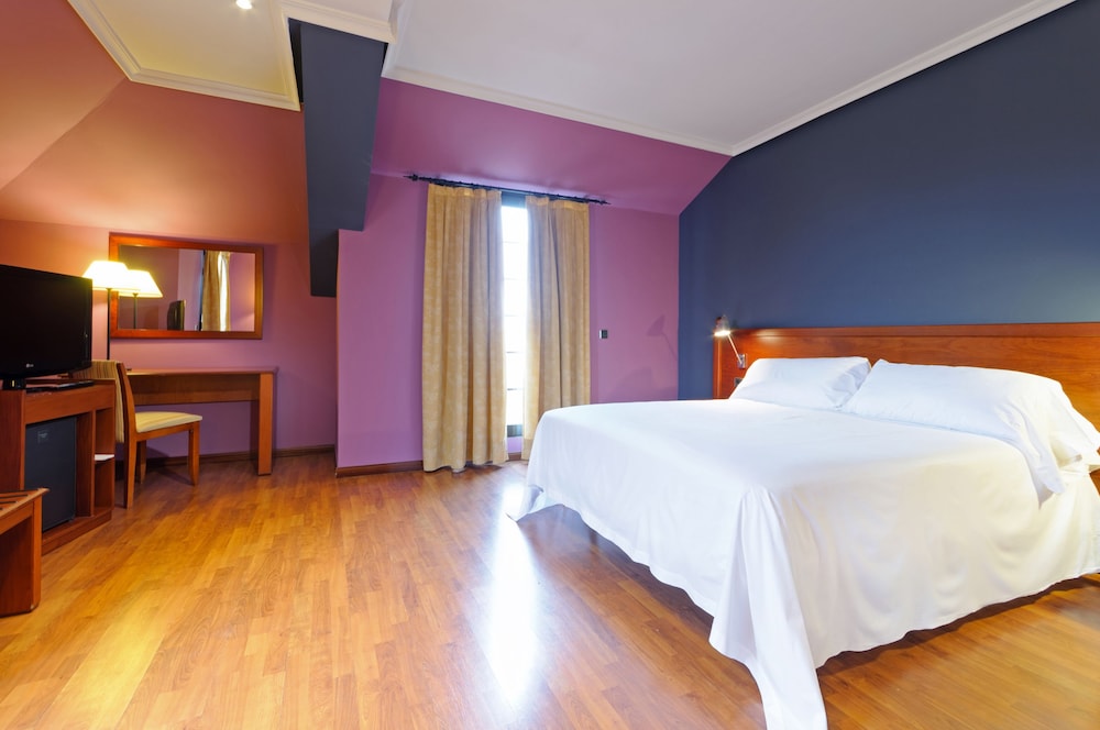 Hotel Segovia Sierra de Guadarrama 16/50