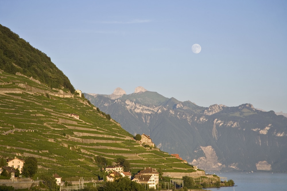 Hotel Lavaux 50/65