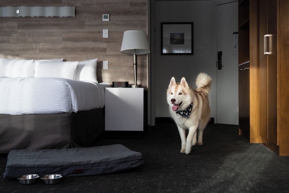 Elk Avenue Hotel 23/46