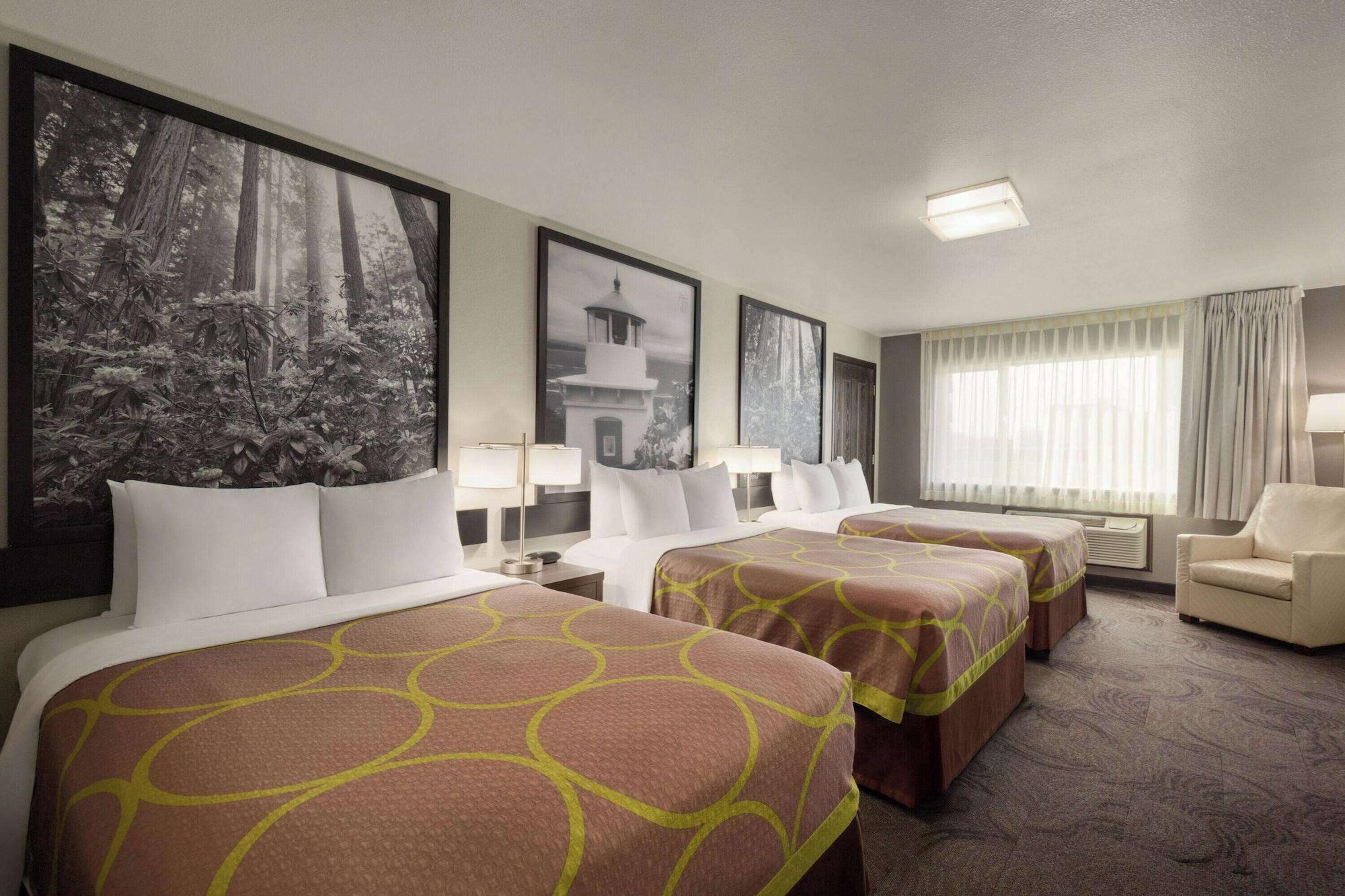 Room, Multiple Beds