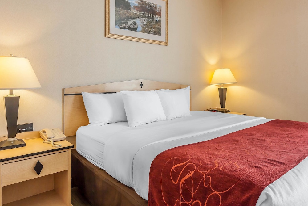 Comfort Inn & Suites Airport Convention Center 18/43