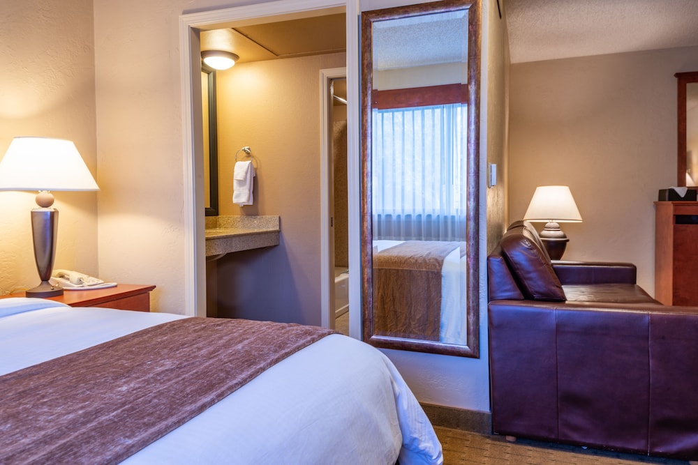 Best Western Vista Inn At The Airport 19/47