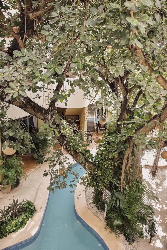 Hotel Posada 06 Tulum 43/50