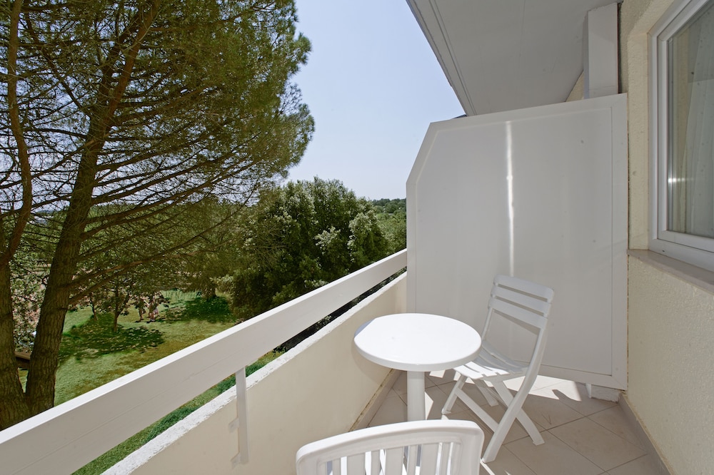 Hotel Delfin Plava Laguna 41/41