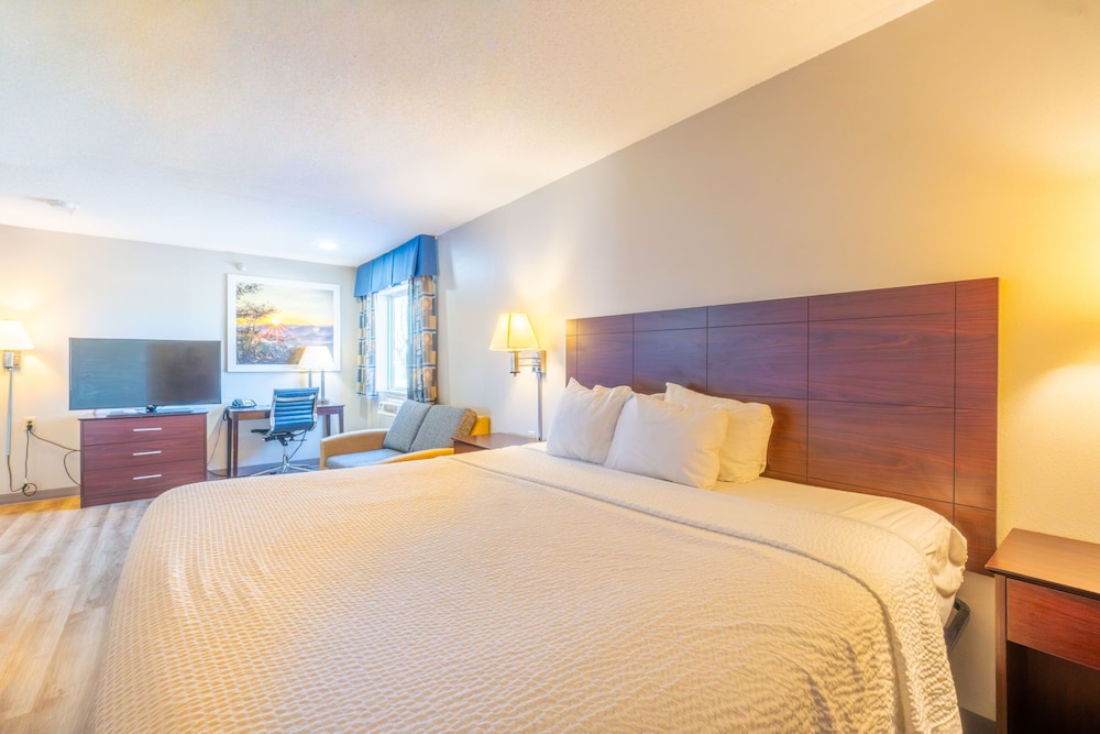 Studio, Suite, King Bed