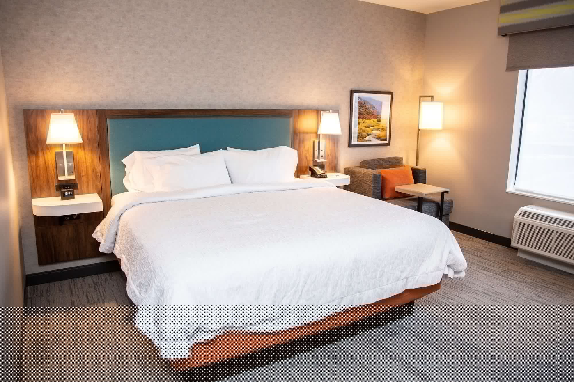 Room, King Bed, Accessible