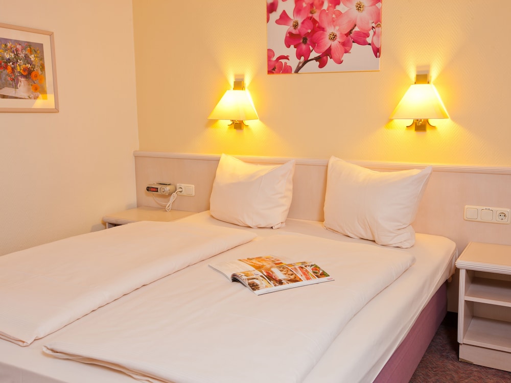 Hoteltraube Rudesheim 12/50